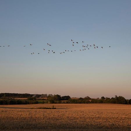 Mitten In Der Natur : Ferienwohnung Mit 3 Schlafzimmern, Neu Eingerichtet Neu Gaarz Extérieur photo